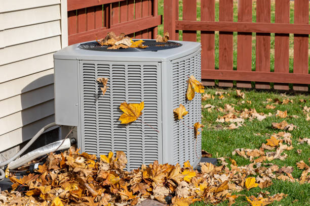 Best Furnace Repair Near Me  in Zephyrhills, FL